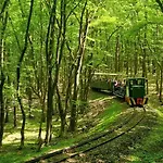 Szent Orban Erdei Wellness Es Ξενοδοχείο