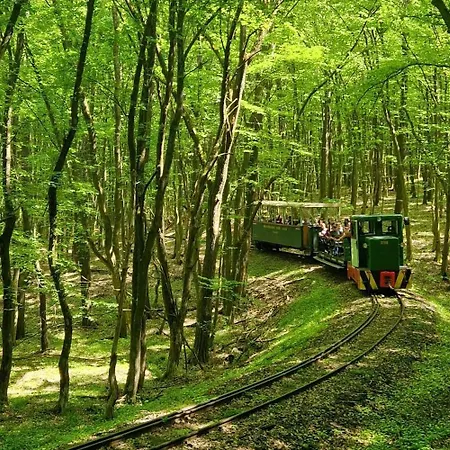 Szent Orban Erdei Wellness Es ホテル